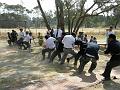 tugofwar